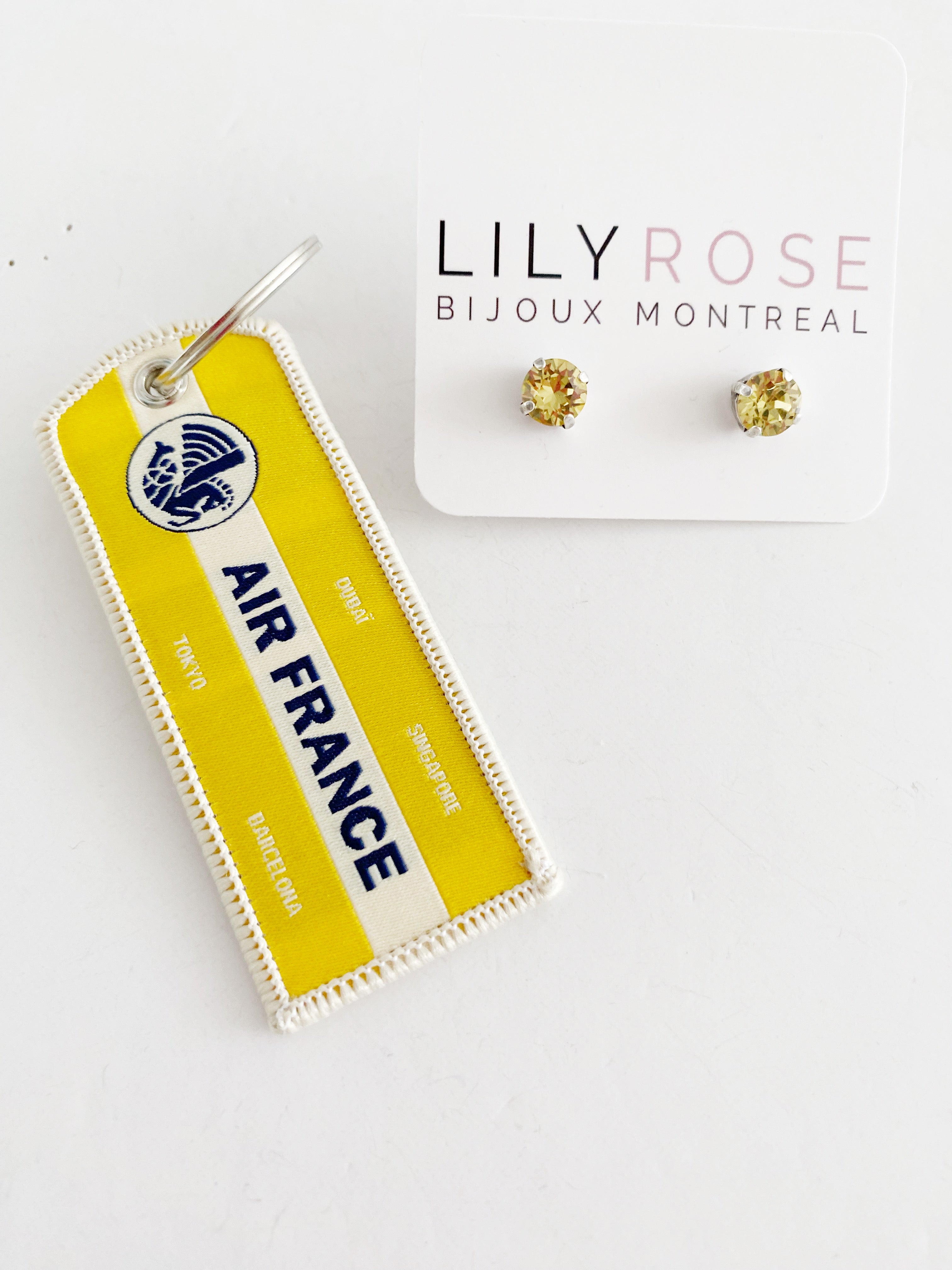 Souvenir de voyage \ Porte clés + boucle d'oreilles LR ✨